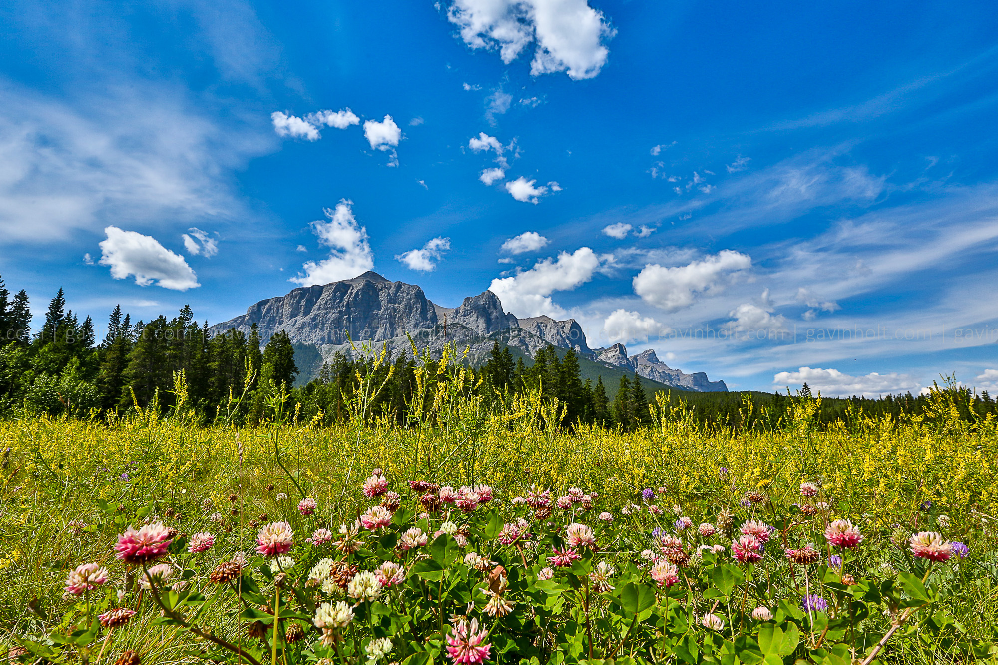 Canada in Summer